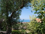 Picture of writer's apartment Italy